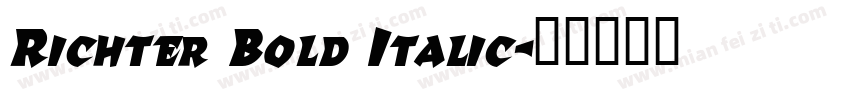 Richter Bold Italic字体转换
